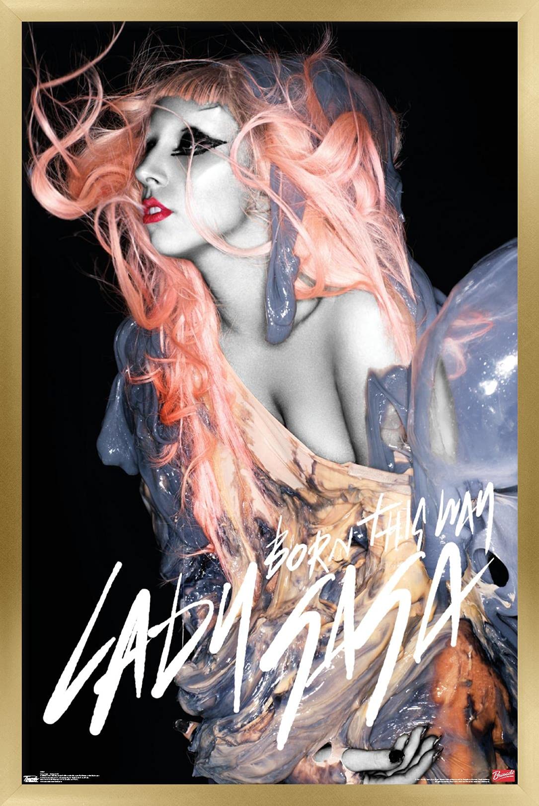 Amazon.com: Trends International Lady Gaga - Orange Hair Wall
